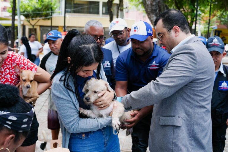 Vacunas perros y gatos