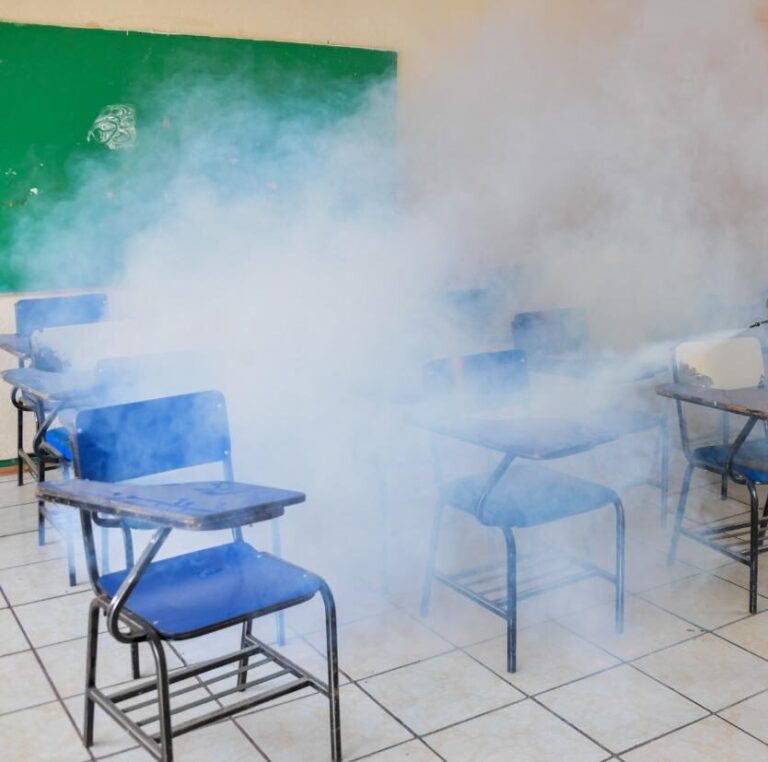 escuela-fumigacion-e1729008904412
