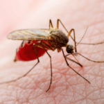 Captura-de-pantalla-2024-10-31-173357