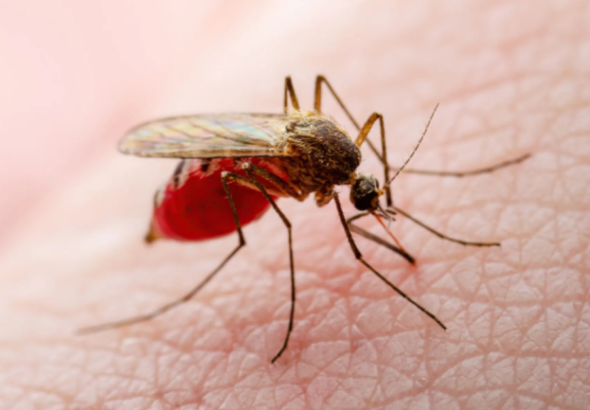 Captura-de-pantalla-2024-10-31-173357