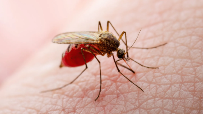 Captura-de-pantalla-2024-10-31-173357