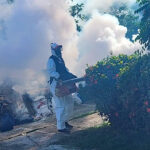 MSP fumigación Dengue