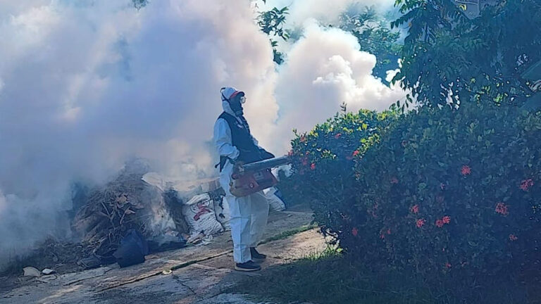 MSP fumigación Dengue