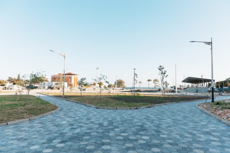 WhatsApp Image 2026-02-11 at 10.57.32 AM