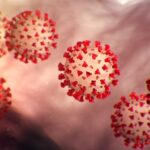 Detectan-nueva-variante-de-Covid-19-en-25-estados-de-EE.-UU