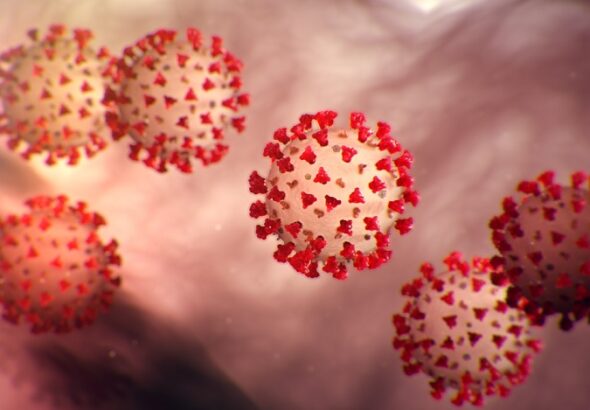 Detectan-nueva-variante-de-Covid-19-en-25-estados-de-EE.-UU