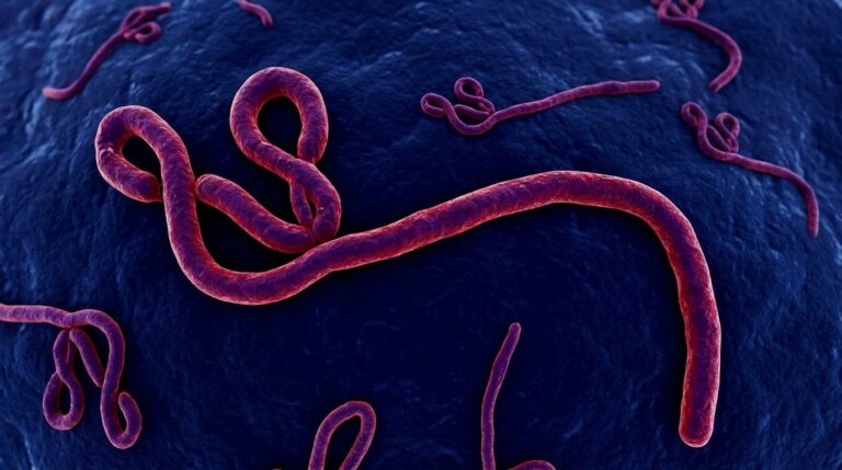 ebola