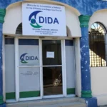 dida